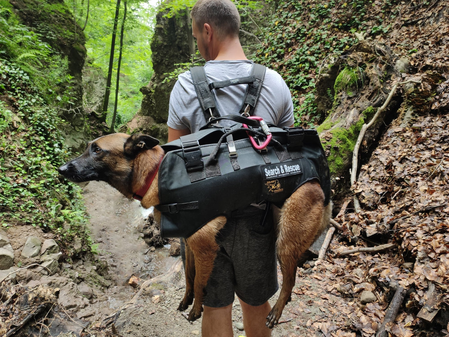 犬用後背帶