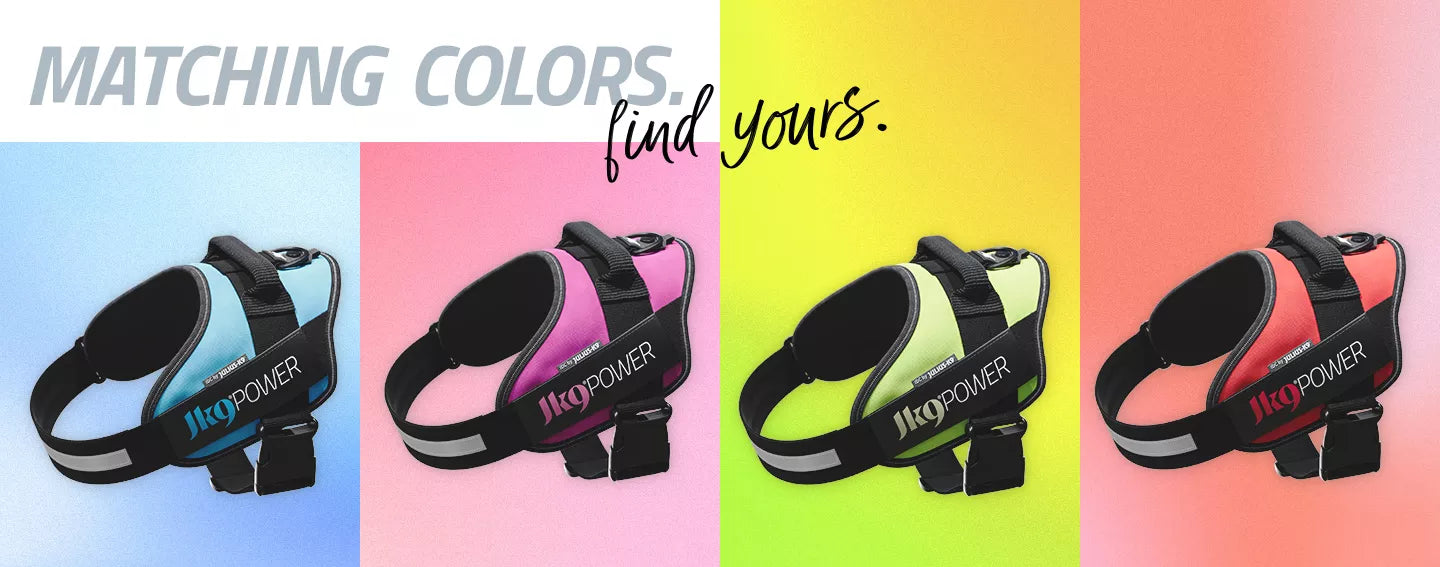 famous European colorful dog harness_歐洲多采多姿胸背帶的狗背帶