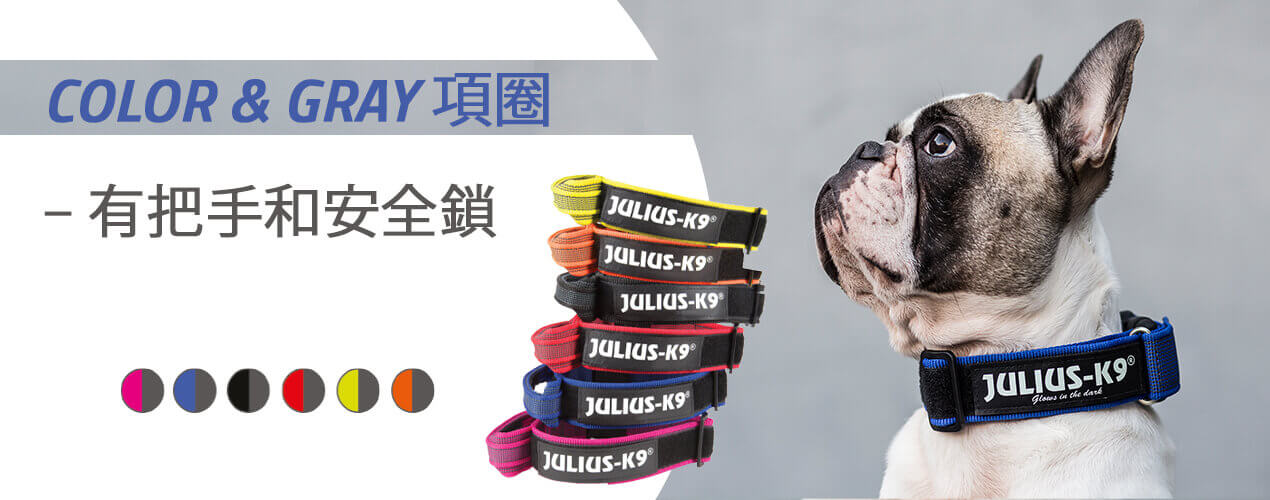 有名牌標誌且有安全反鎖的項圈