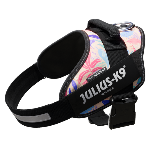 IDC®POWER專業胸背帶 - 限量款