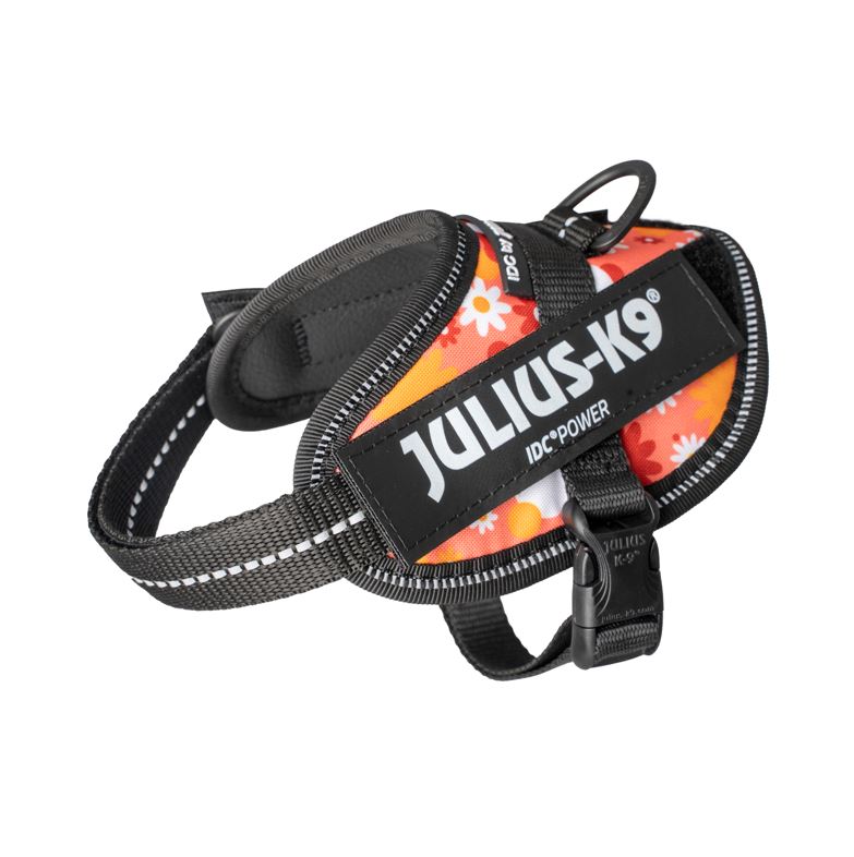 狗胸背帶 dog harness