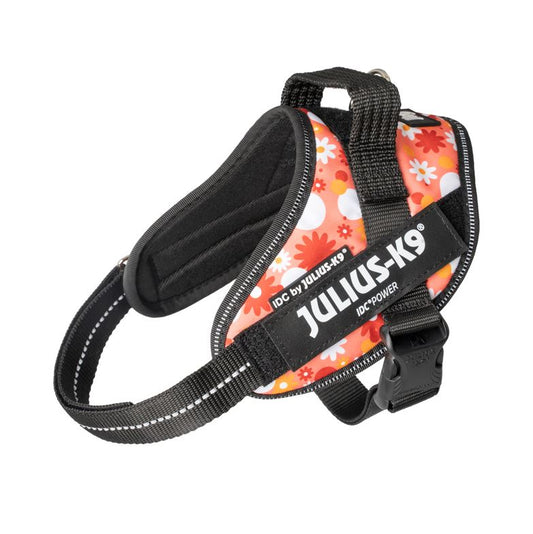 狗胸背帶 dog harness