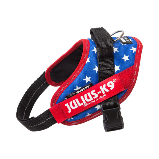 IDC®POWER專業胸背帶 - 零碼花色