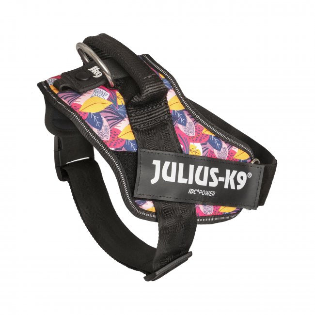狗胸背帶 dog harness