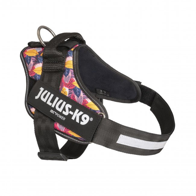 狗胸背帶 dog harness