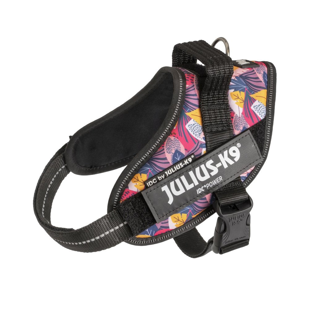 狗胸背帶 dog harness