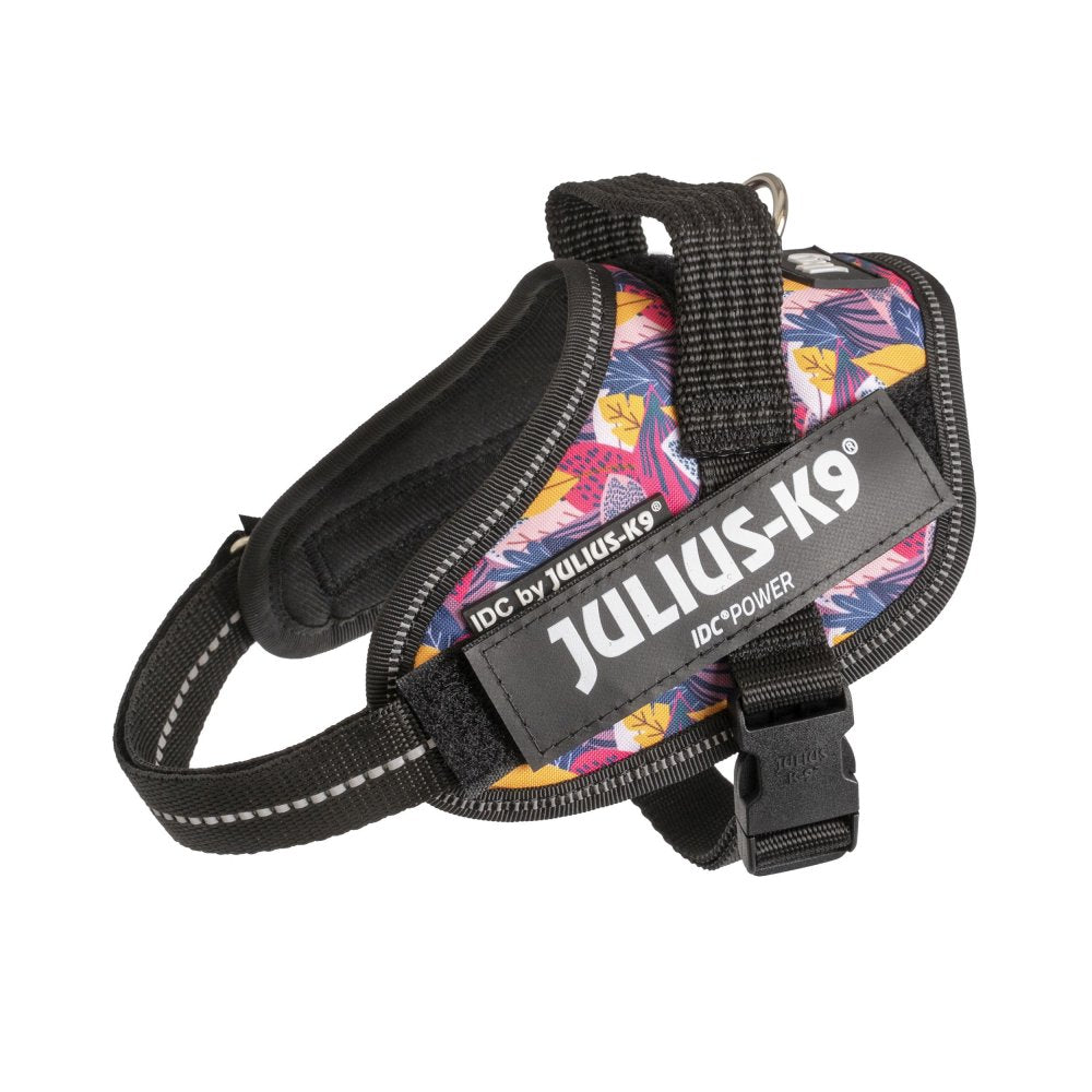 狗胸背帶 dog harness