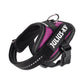 狗胸背帶 dog harness
