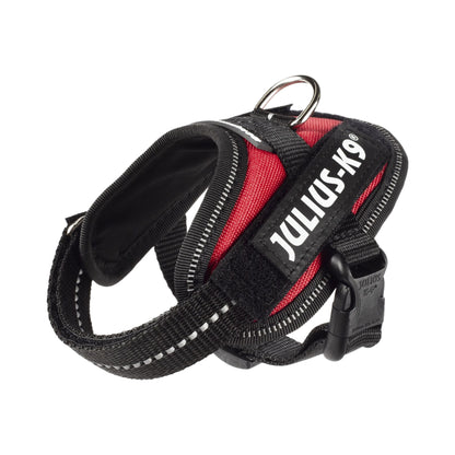 狗胸背帶 dog harness