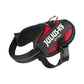 狗胸背帶 dog harness